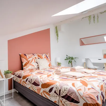 公寓 L'esteque - 4 Pers- Hyper Centre-wifi
